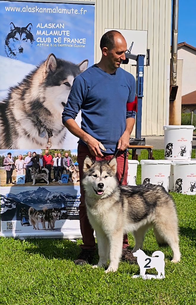 Very pretty kiruna From White Mountain Lapland